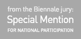 Special mention from The Jury